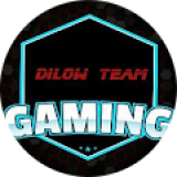 Dilow Team