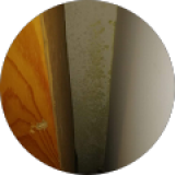 Foto de Maria Del Mar Requena Company