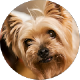 Foto de MªAngeles Garcia Martinez