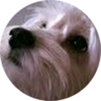 Foto de Gema Antunez