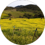 Foto de Manuel Cordoba