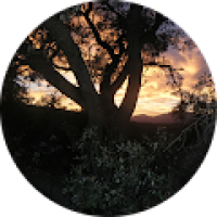 Foto de M.Carmen Foguer