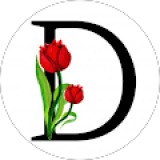 Dolores Castillero Ruiz