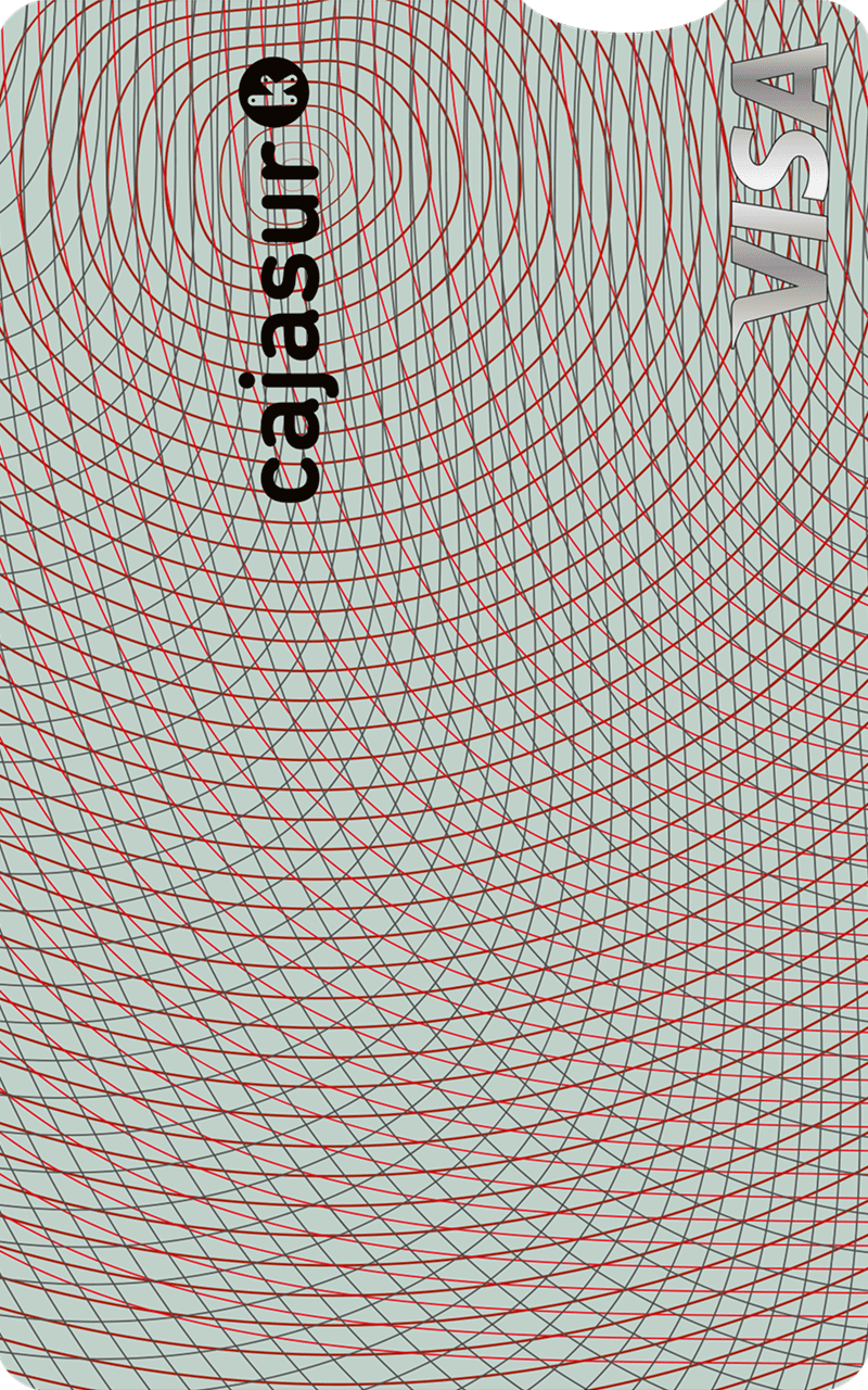 Visa Classic