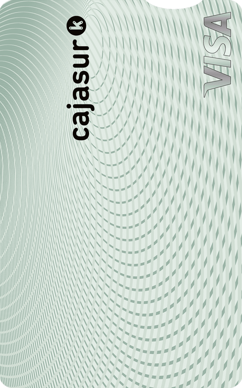 Visa Dual