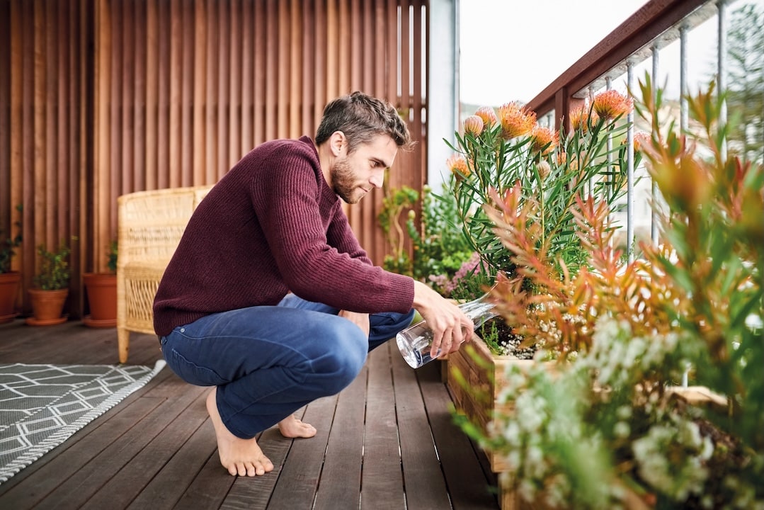 Hombre en una terraza regando unas flores naranjas con una jarra de agua de cristal.